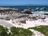 Namibia 1 161